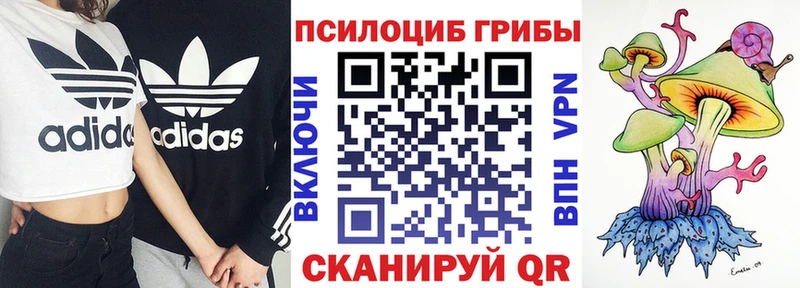 Галлюциногенные грибы мицелий  Белоусово 